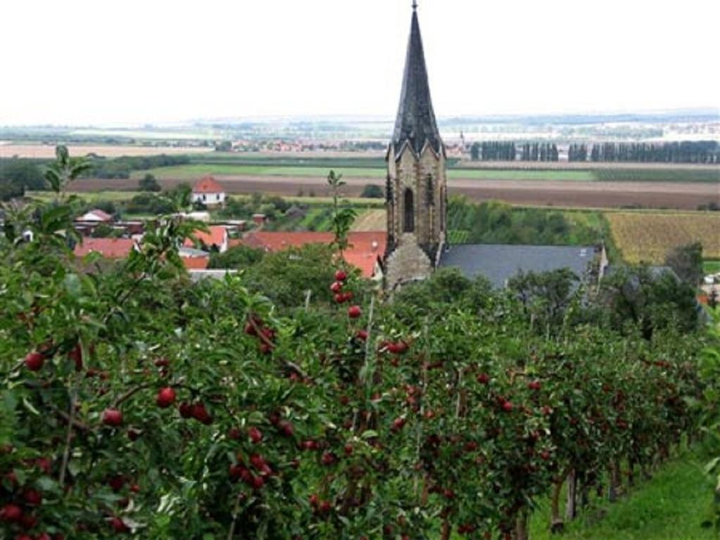 Motel Zur Festwiese Gierstädt Buitenkant foto