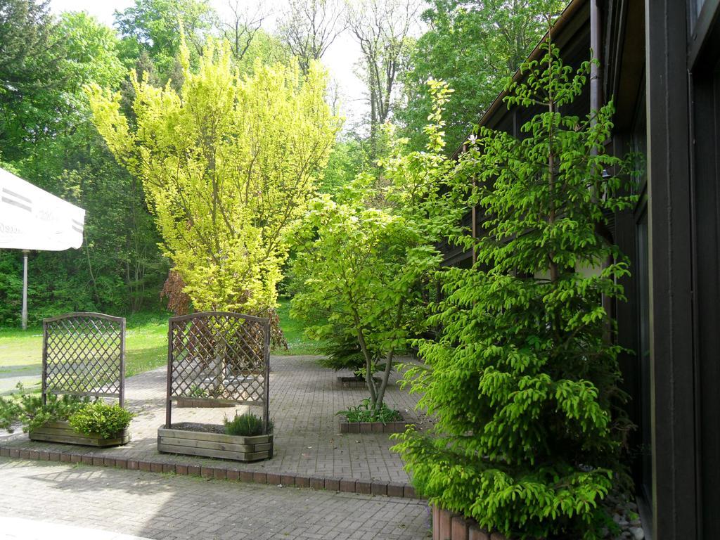 Motel Zur Festwiese Gierstädt Buitenkant foto