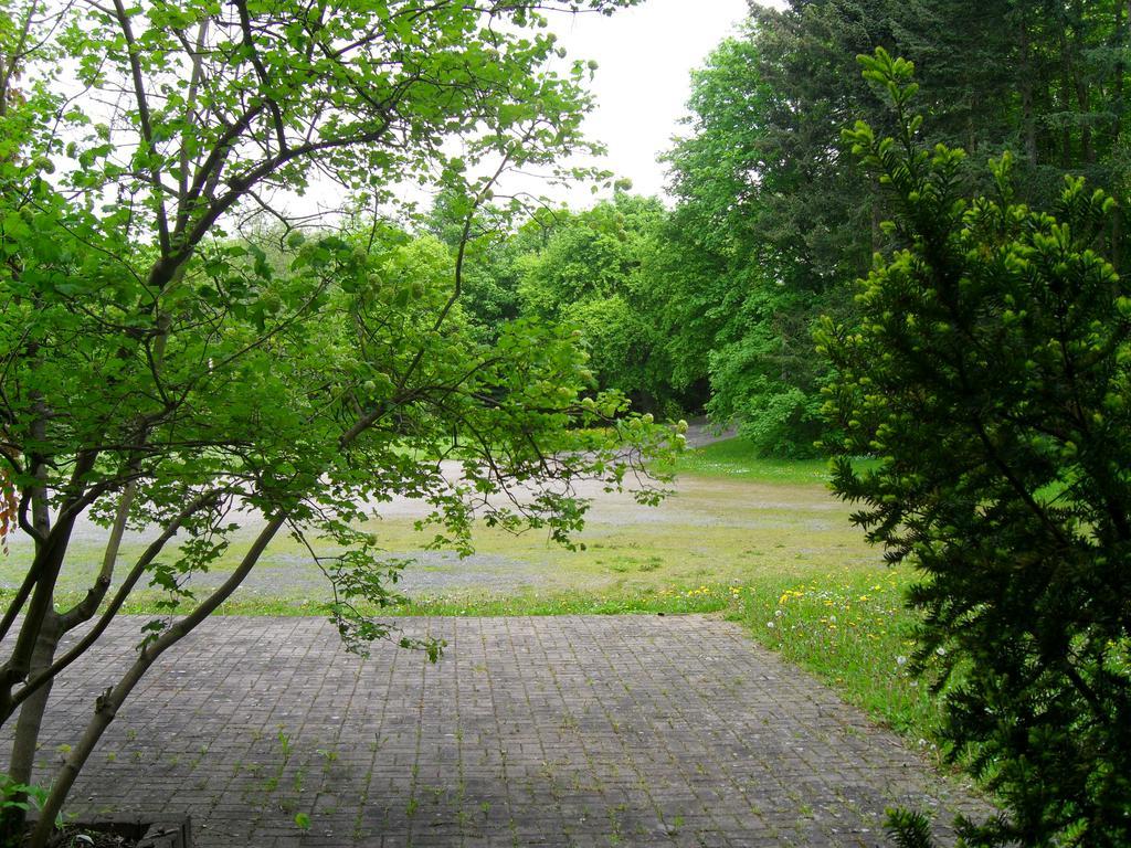 Motel Zur Festwiese Gierstädt Buitenkant foto