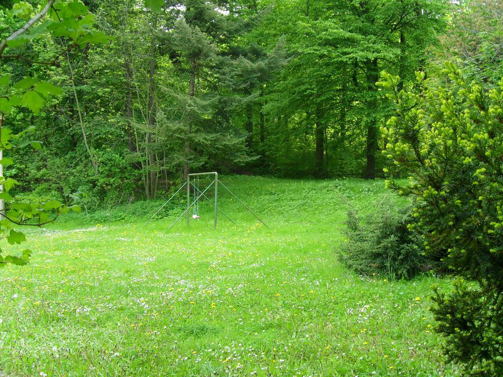Motel Zur Festwiese Gierstädt Buitenkant foto